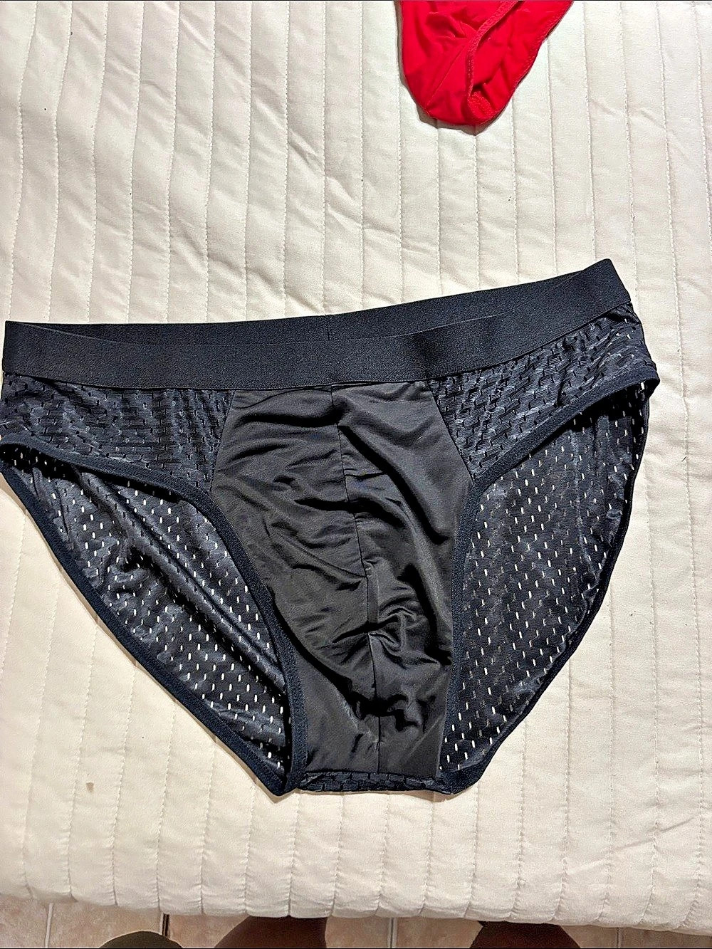 Black Mesh brief